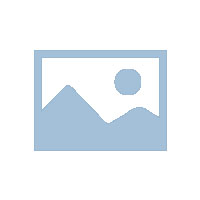 世界不锈钢协会：2024年前9个月全球不锈钢粗钢同比增长5.4％